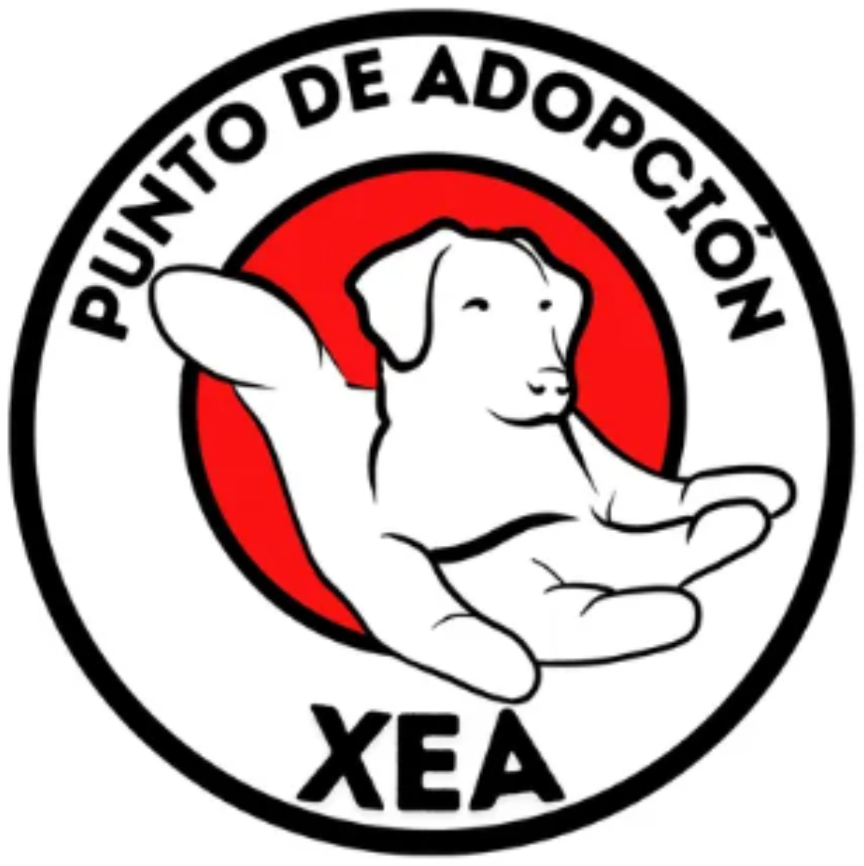 Punto de Adopción XEA
